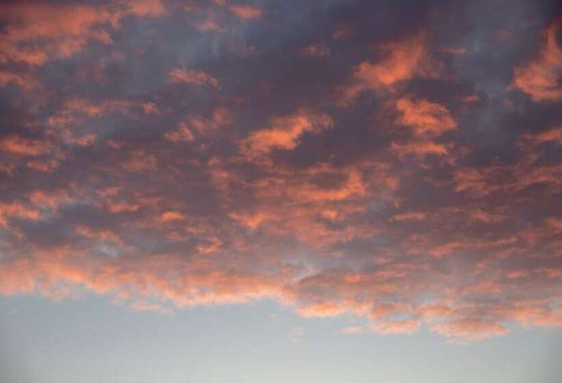 Dog Friendly Shepherd S Hut, Perfect For Couples