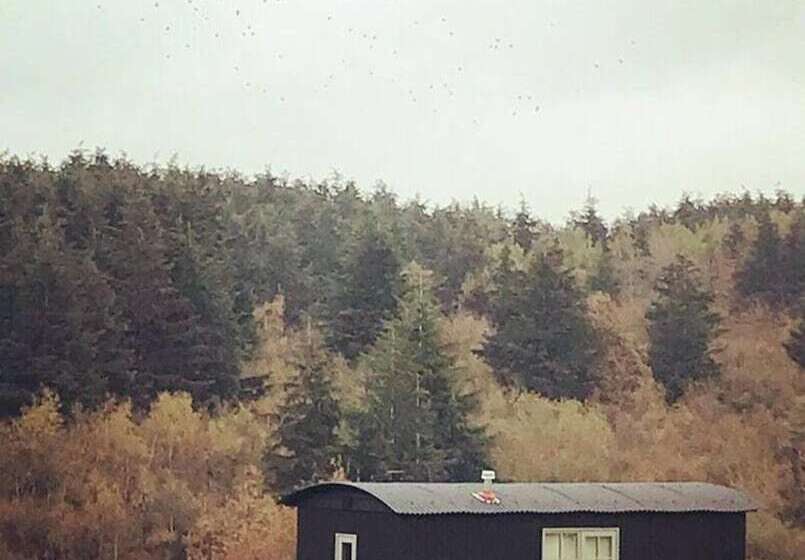 Dog Friendly Shepherd S Hut, Perfect For Couples