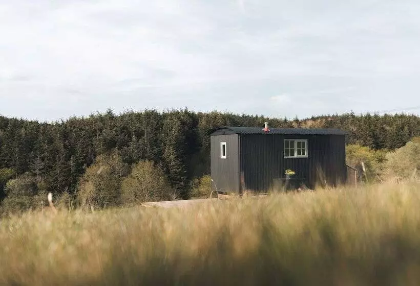 Dog Friendly Shepherd S Hut, Perfect For Couples