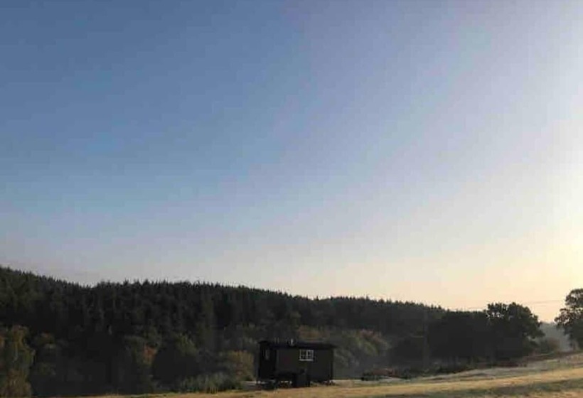 Dog Friendly Shepherd S Hut, Perfect For Couples