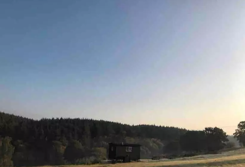 Dog Friendly Shepherd S Hut, Perfect For Couples