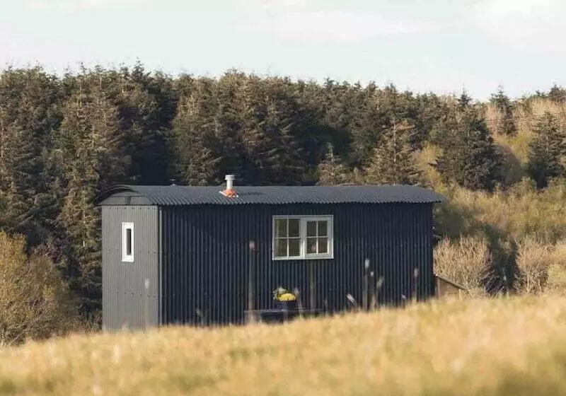 Dog Friendly Shepherd S Hut, Perfect For Couples