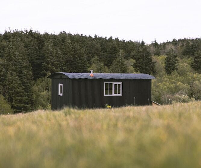 Dog Friendly Shepherd S Hut, Perfect For Couples