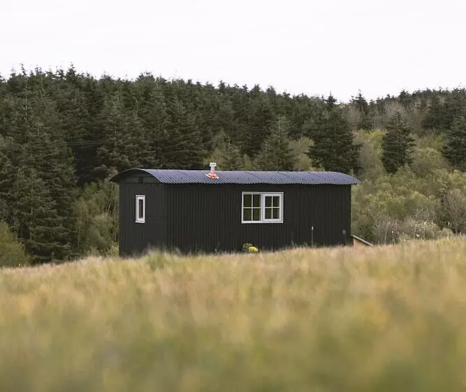 Dog Friendly Shepherd S Hut, Perfect For Couples