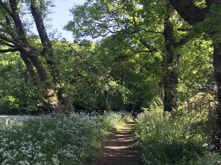 Dog Friendly Shepherd S Hut, Perfect For Couples