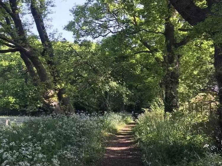 Dog Friendly Shepherd S Hut, Perfect For Couples