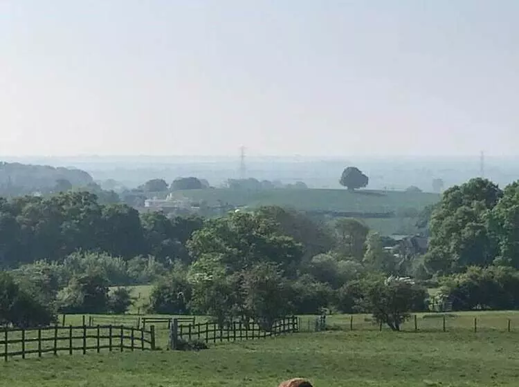 Dog Friendly Shepherd S Hut, Perfect For Couples