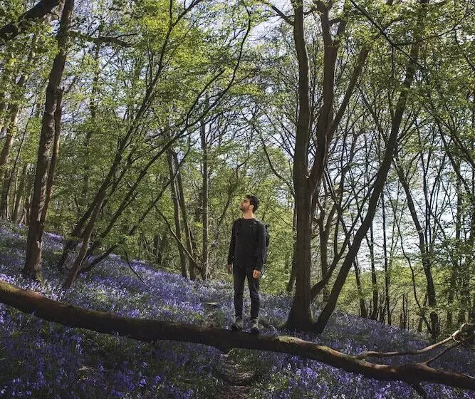 Dog Friendly Shepherd S Hut, Perfect For Couples