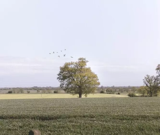 Dog Friendly Shepherd S Hut, Perfect For Couples