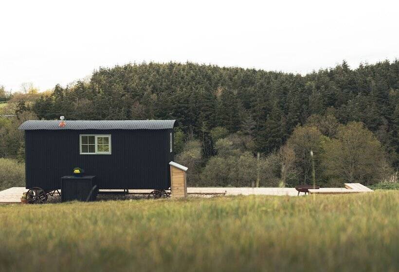 Dog Friendly Shepherd S Hut, Perfect For Couples