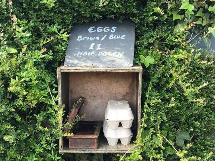 Dog Friendly Shepherd S Hut, Perfect For Couples