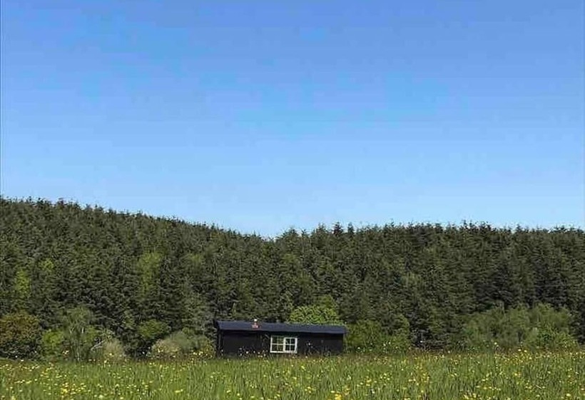 Dog Friendly Shepherd S Hut, Perfect For Couples