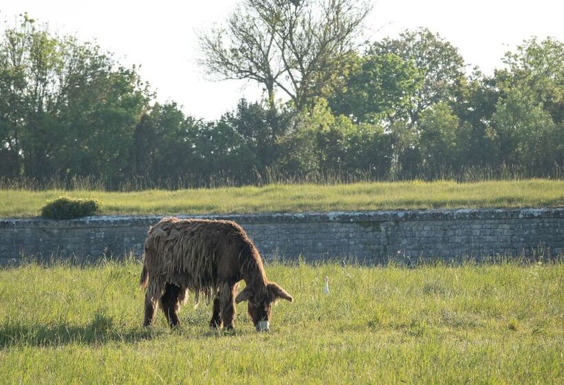 Отель Camping Les Pérouses