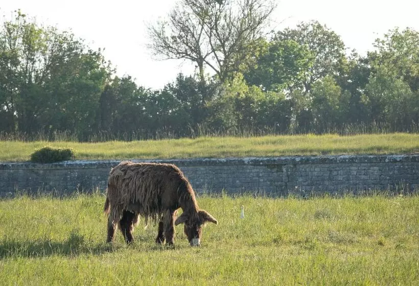 Hotelli Camping Les Pérouses