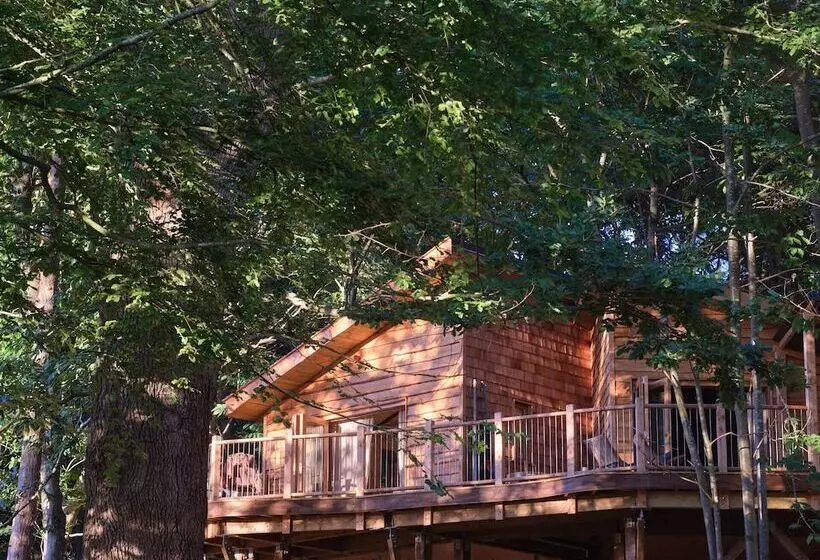 Hotelli Tree House Retreats