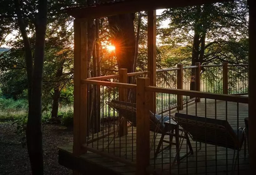 Hotelli Tree House Retreats