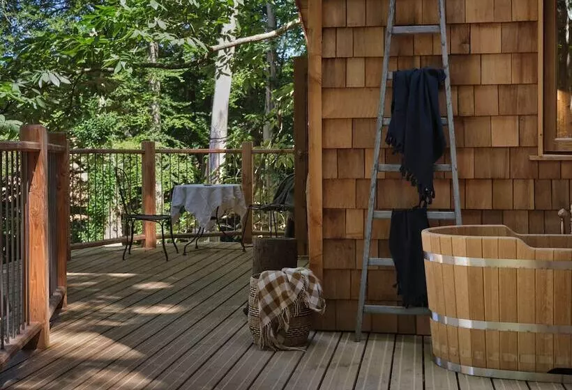 Hotelli Tree House Retreats