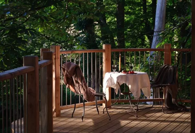 Hotelli Tree House Retreats