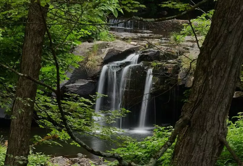 Hotelli Woodstock Way