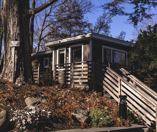 Отель Woodstock Way