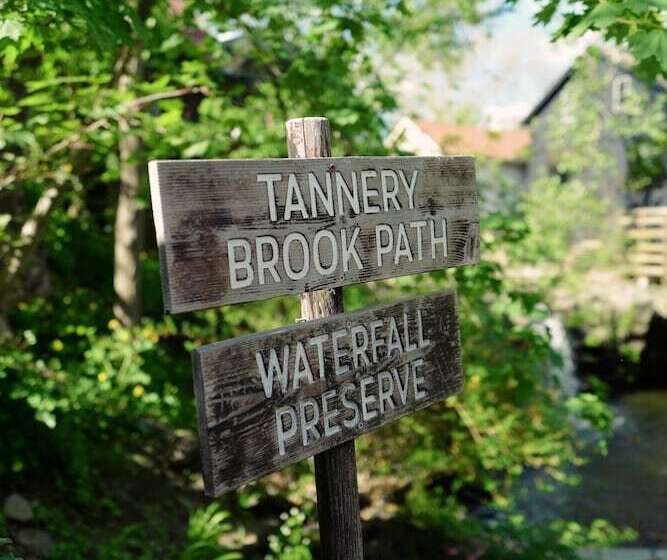 Отель Woodstock Way