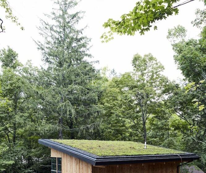 Отель Woodstock Way