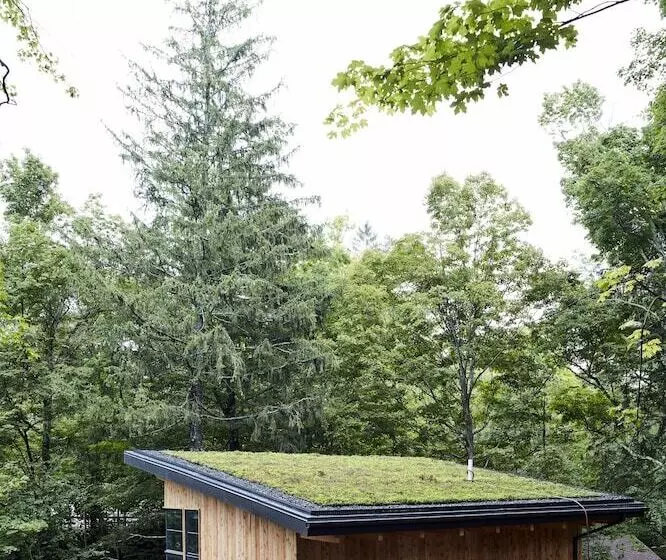 Hotelli Woodstock Way