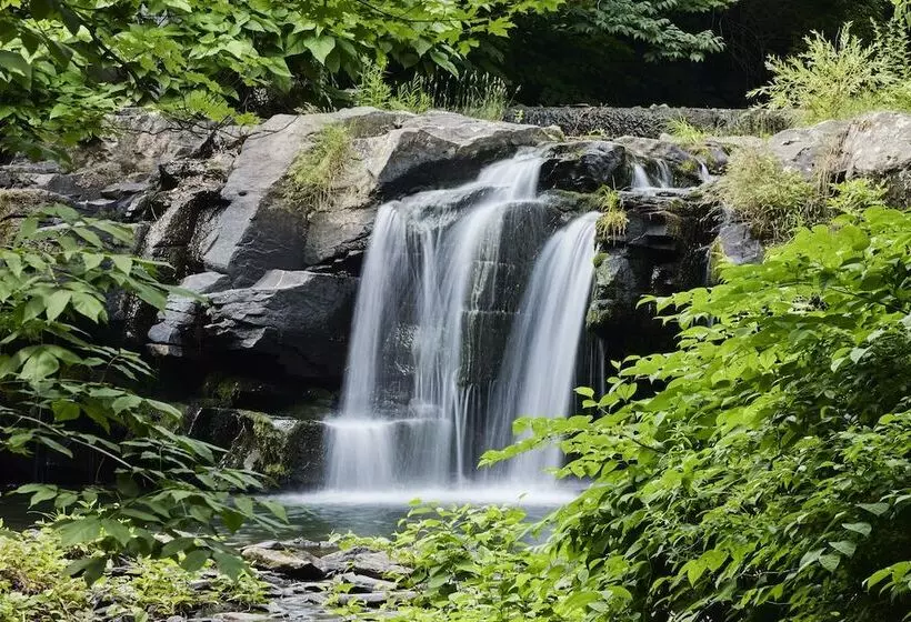 Hotelli Woodstock Way