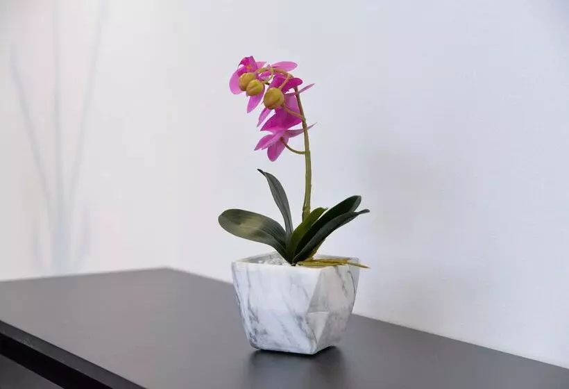 Majatalo Room Marsonia