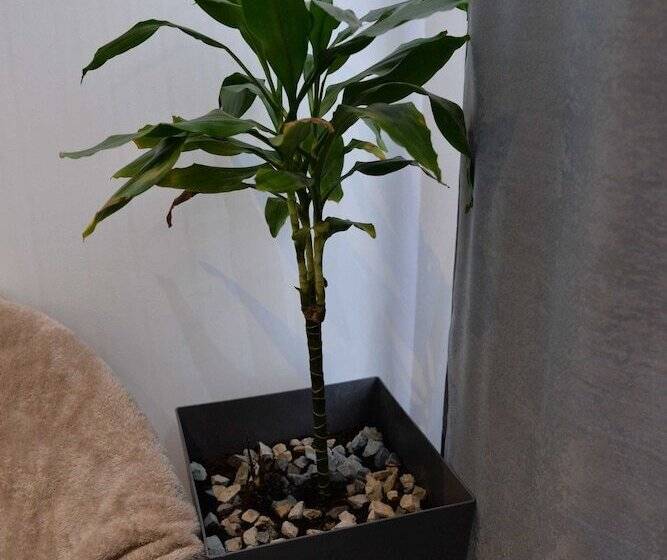 Pension Room Marsonia