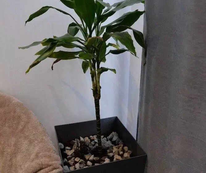 Majatalo Room Marsonia