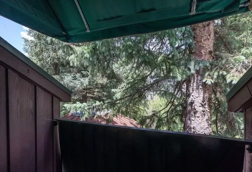 Manitou Lodge 11 By Alpine Lodging Telluride