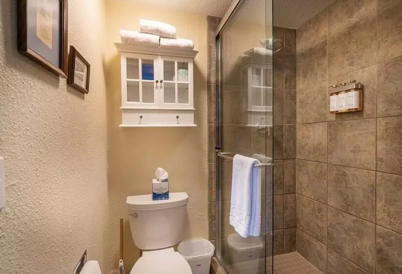 Manitou Lodge 11 By Alpine Lodging Telluride