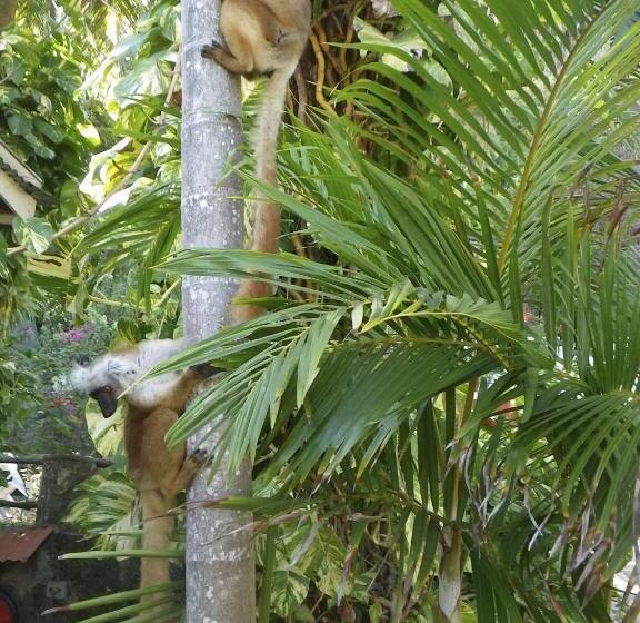 هتل Gerard Et Francine