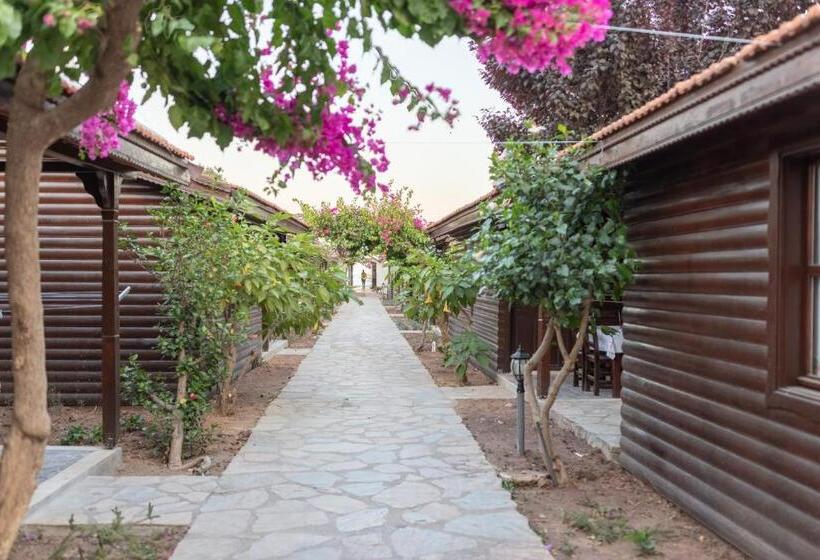 Hotel çuhadar Ahşap Evleri̇