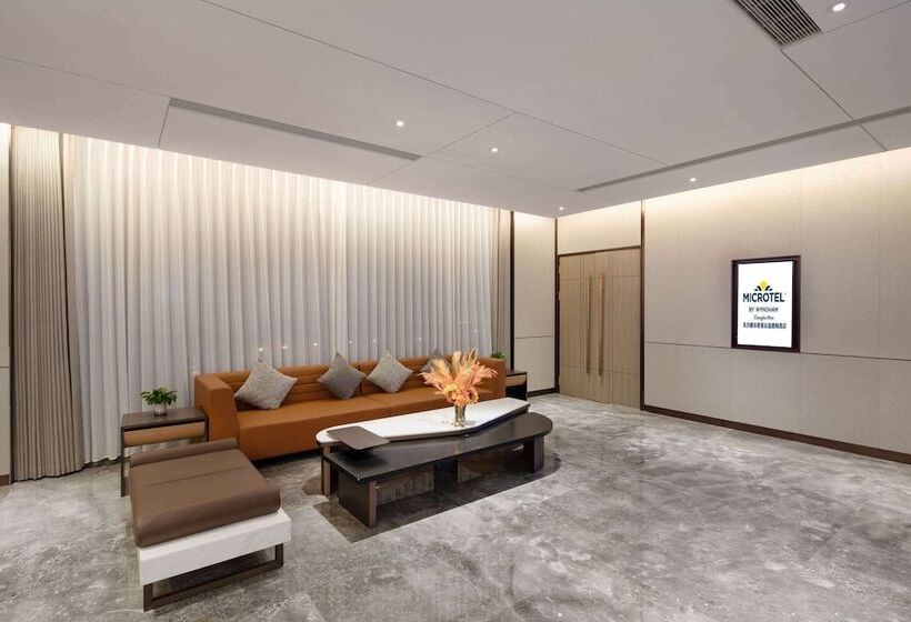 Microtel By Wyndham Changsha West