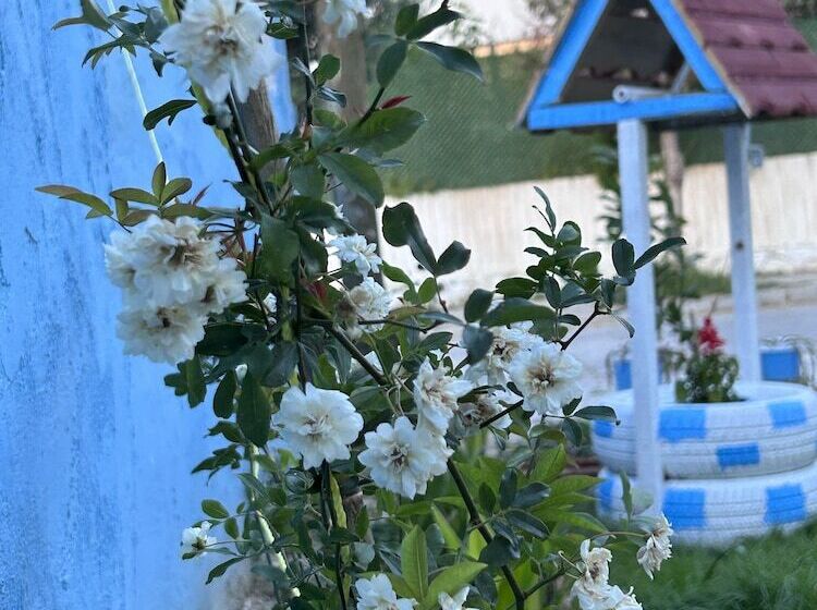 The Titanic Hause Otel