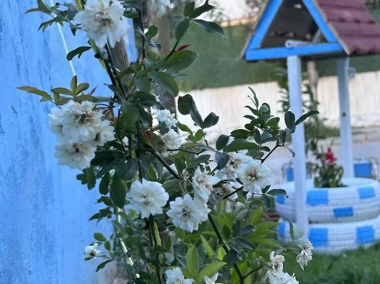 The Titanic Hause Otel