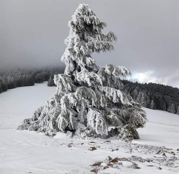 Alberg Gîte Dayet Chiker