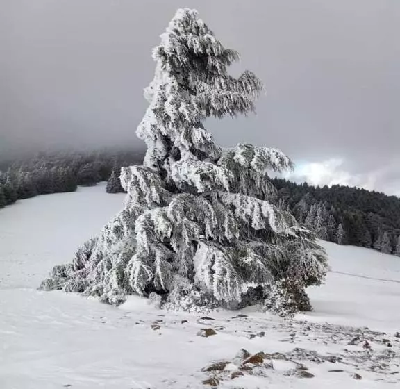 Retkeilymaja Gîte Dayet Chiker