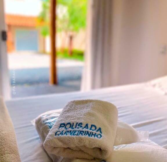 Общежитие Pousada Carneirinho