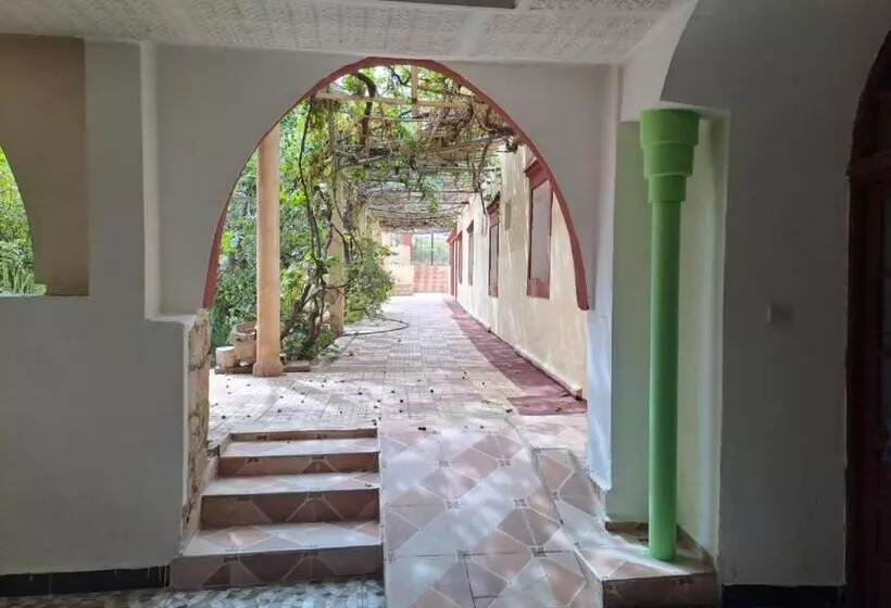 تختخواب و صبحانه Auberge Jaafar
