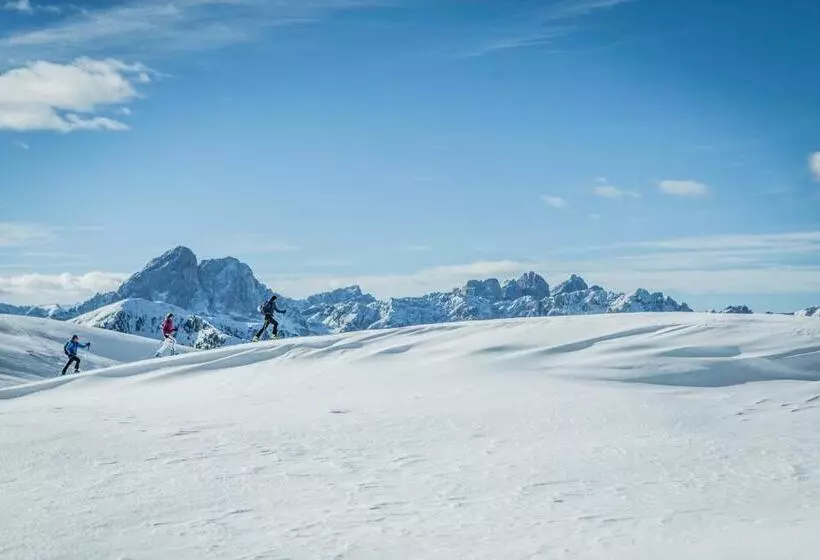 Aamiaismajoitus (B&B) Pension Aichner