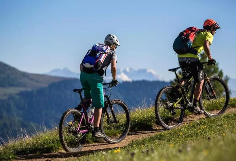 Aamiaismajoitus (B&B) Pension Aichner