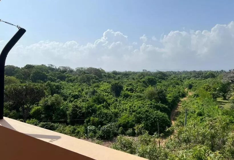 تختخواب و صبحانه Tombo House