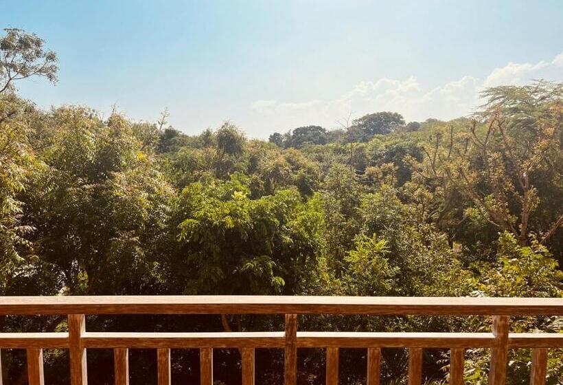 Bed and Breakfast Tombo House