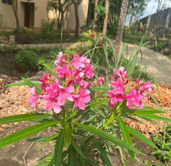 Bed and Breakfast Tombo House