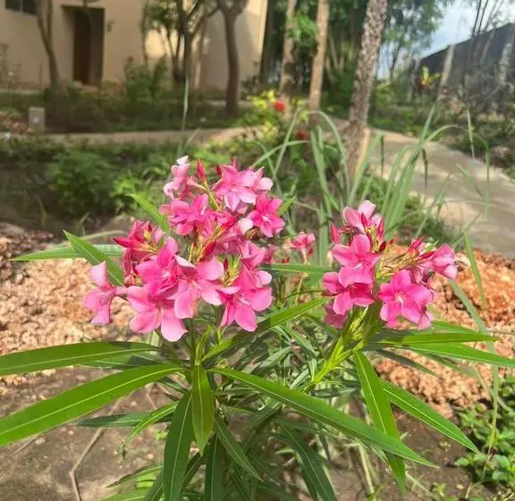 تختخواب و صبحانه Tombo House