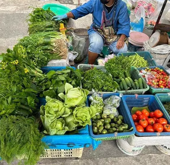 ホテル Chiangmai Hometel