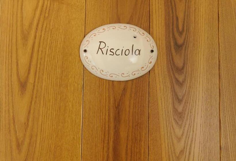 בית מלון כפרי Domus Otium